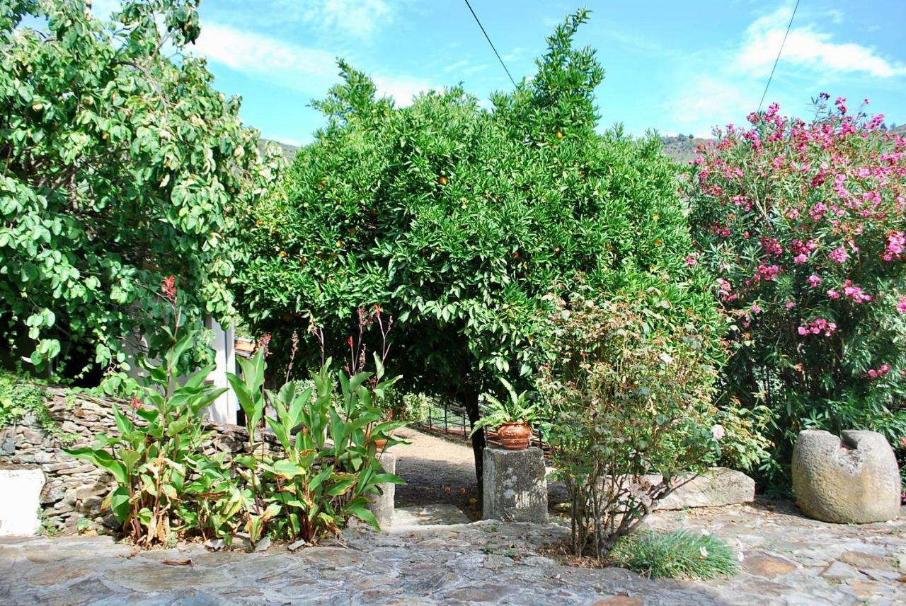 瓦莱德门蒂兹Casa De Mendiz别墅 外观 照片